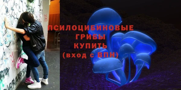 а пвп мука Арсеньев